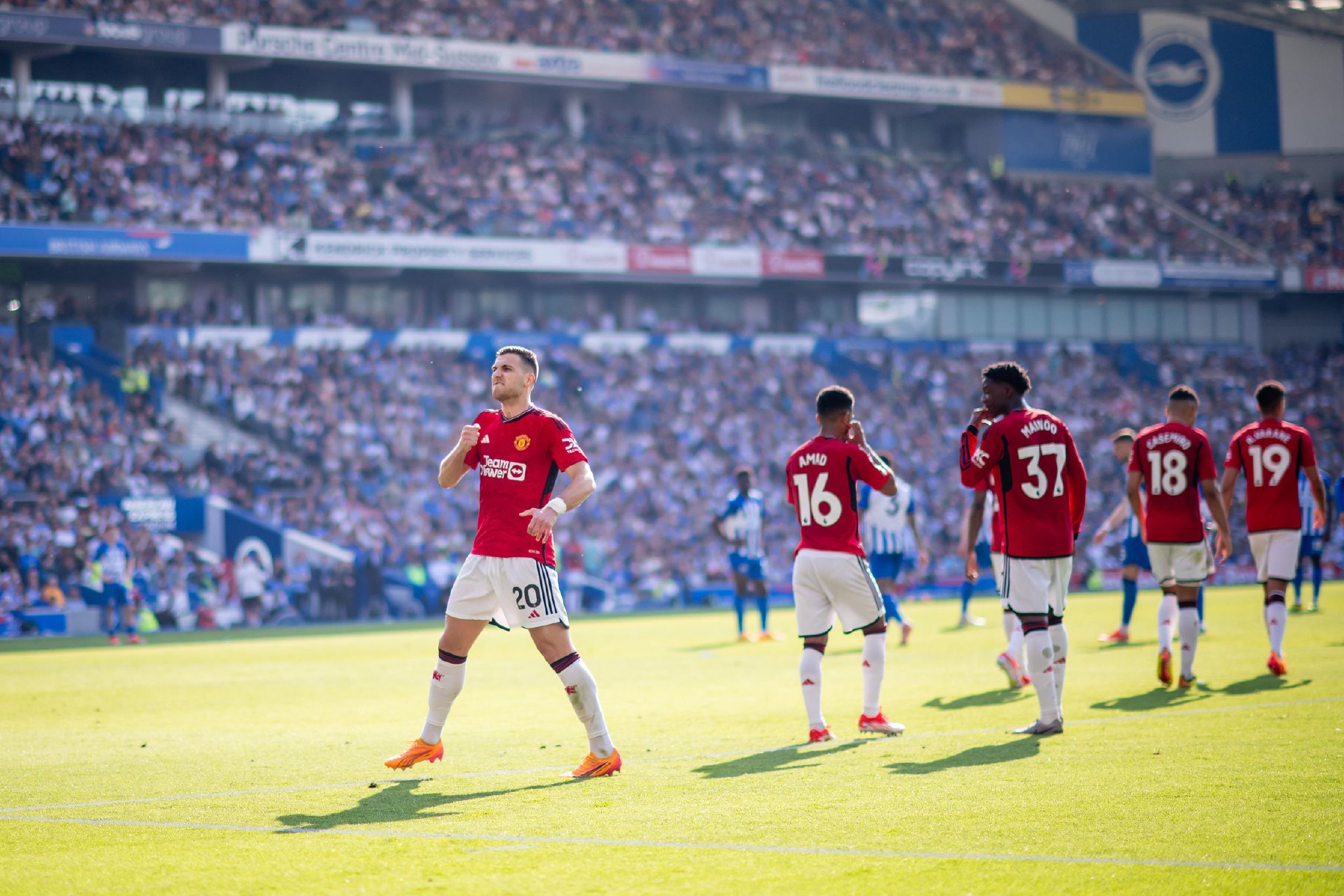 明星球员的 明星球员的