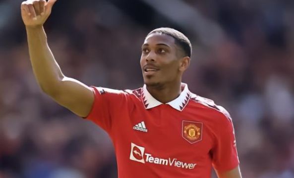 体现了他作 体现了他作